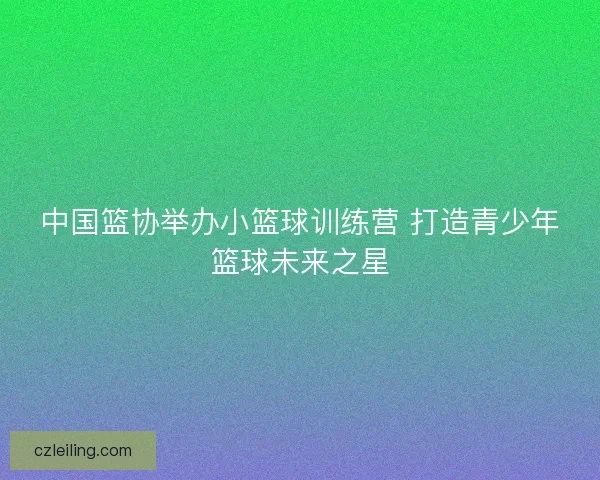 中国篮协举办小篮球训练营 打造青少年篮球未来之星
