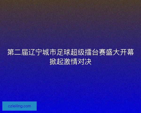 第二届辽宁城市足球超级擂台赛盛大开幕掀起激情对决