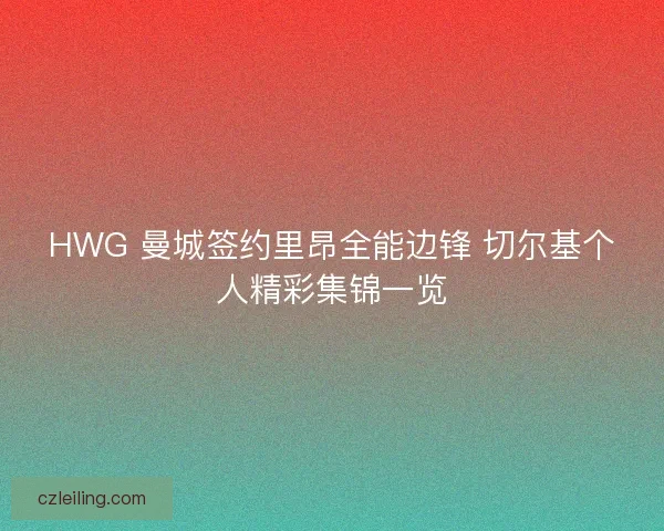 HWG 曼城签约里昂全能边锋 切尔基个人精彩集锦一览